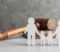 stock-photo-family-figure-and-gavel-on-table-family-law-concept-1108958093-transformed-1080x675
